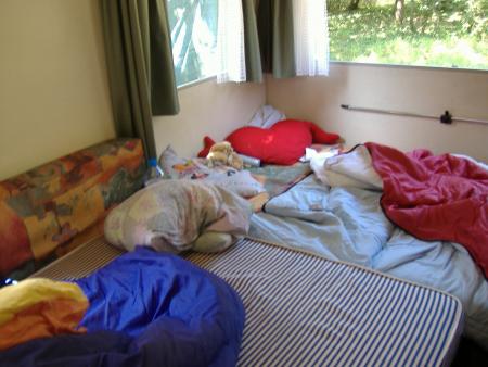 AU petit midi... (matin serait trop dire!!)