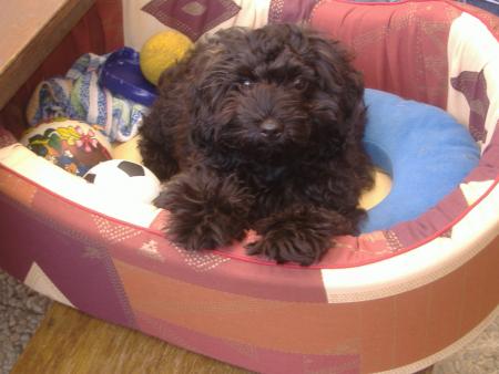 Mon titou !!!
